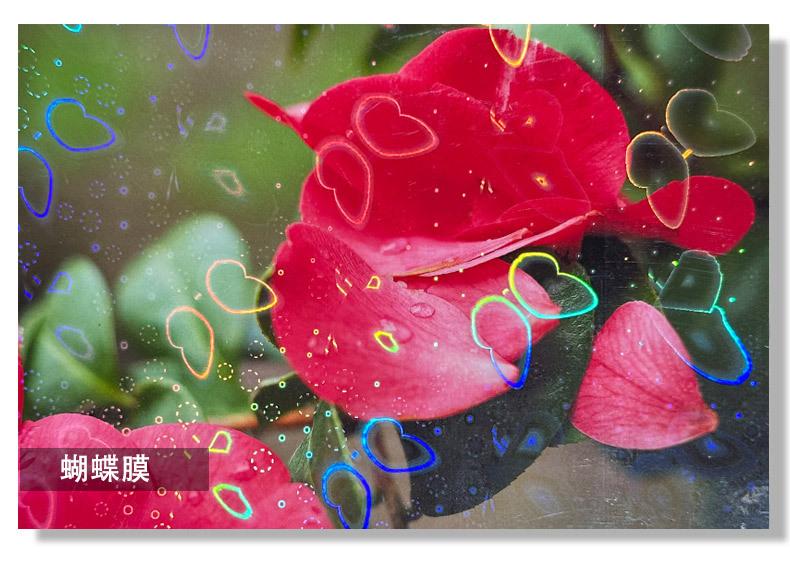 详情_12-1.jpg