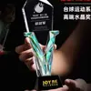 Baloncesto Fútbol Bádminton Trofeo Pueblo BA Oro Plata Bronce Voleibol Reunión Deportiva Competencia Deportiva Trofeo Placa Conmemorativa