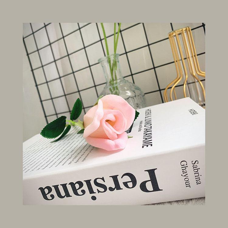 QQ图片20210414095249