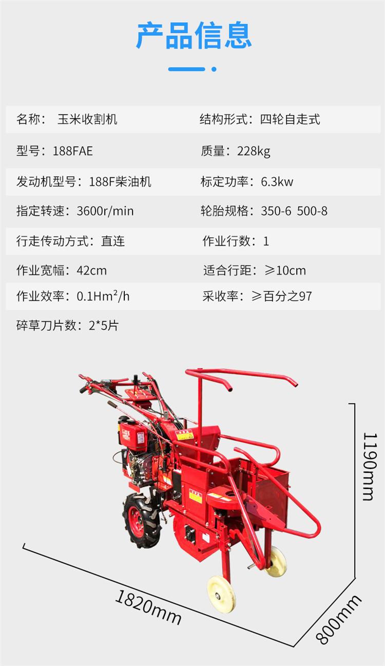 玉米2_05
