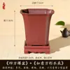 Vasos Quadrados de Resina para Flores no Atacado, Vasos para Bonsai, Plantas Suculentas, Samambaias Aspargo, Orquídeas, Vasos para Plantas de Mesa, Vasos Simples de Resina Espessada