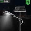 Farolas Solares Personalizadas Nuevas Luces de Jardín Exterior Rural 6m Iluminación LED de Ingeniería Revitalización Rural Fabricante de Farolas