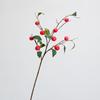 Simulación fruta ciruela rama de fruta tela roja negra flor falsa fruta modelo de ventana de habitación sala de estar adornos decoración del hogar