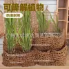 Bolsas de Malla para Cultivo de Plantas de Agua de Mar, Biodegradables Naturalmente, Bolsas de Malla Naturales