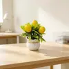 Nueva Cuenca de Lingotes Chinos 5 Frutas Pequeñas Bonsái Festival de Primavera Año Nuevo Regalo Planta en Maceta Decoración del Hogar Fruta de la Riqueza Adorno