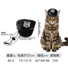 Sombrero divertido de Halloween para perro, creativo, disponible en Amazon, para fotos de gatos, accesorios para posar, tocado para mascotas.