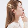 Pinza para el pelo de perlas para mujer, Accesorio de estilo festivo de alta gama y exquisito, Adorno para el pelo de aleación estilo coreano para la parte trasera de la cabeza, Pinza de resorte pequeña