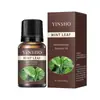 Comércio Exterior Transfronteiriço Óleo Solúvel Difusor de Óleo Essencial de Aromaterapia Pedra Máquina de Aromaterapia Umidificador Vela Atomizada de Carro Óleo Essencial Especial