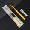 Escova de Dentes Descartável e Pasta de Dente Conjunto de Higiene Pessoal para Hospitalidade, Produtos Odontológicos Exclusivos para Hotéis Estrela e Pousadas Atacado