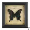Marco de Fotos de Especímenes de Mariposas Verdaderas Pintura Decorativa de Madera de Alta Gama Decoración del Hogar Marco de Fotos Retro de Estilo Europeo Mesa Regalo de Cumpleaños