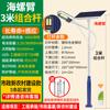 Iluminación Solar para Exteriores Yinglang Proyecto Municipal Zona Rural Nueva LED Súper Brillante 6m Kit Completo con Sensor Farola