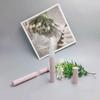 3ml Caneta Giratória Gloss Labial Blush Frasco Vazio Material de Embalagem Cosmética Plástico Caneta Perfume Estoque Pronto