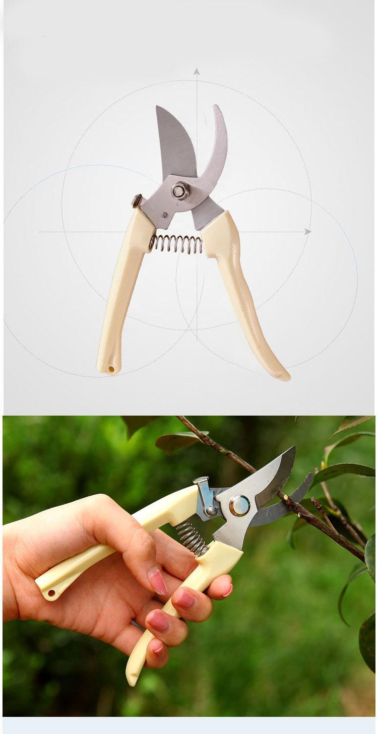 O1CN01ZbVtw22IYXgu0eNLK_!!3609729298-0-c