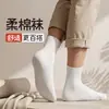 Calcetines para hombre para todas las estaciones, algodón puro, resistentes al olor, calcetines deportivos transpirables de malla, calcetines sin costuras de media pantorrilla