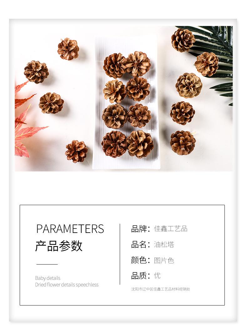 详情页5_02