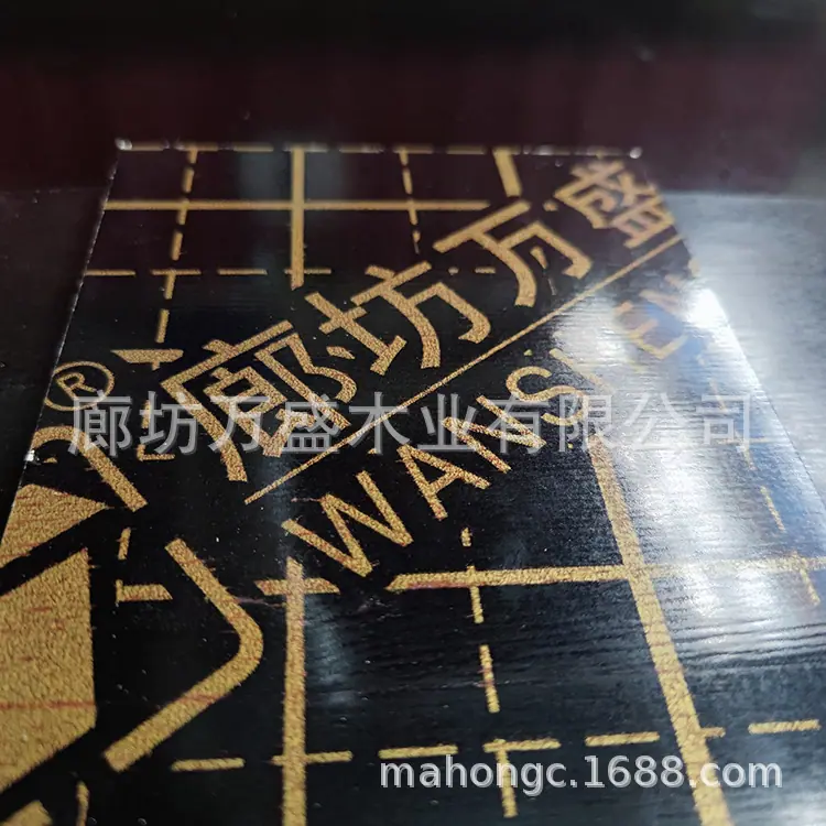 mmexport1606719892852.jpg