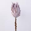 Flores Imperiales Artificiales Secas Estilo Vintage, Flores Falsas de Protea Rey para Bodas de Hotel, Flores Imperiales Artificiales Estilo Europeo al por Mayor