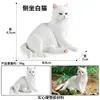Traje de modelo de gato animal de simulación para niños, juego de gato, gatito, modelo de gatito blanco y negro, juguetes, adornos