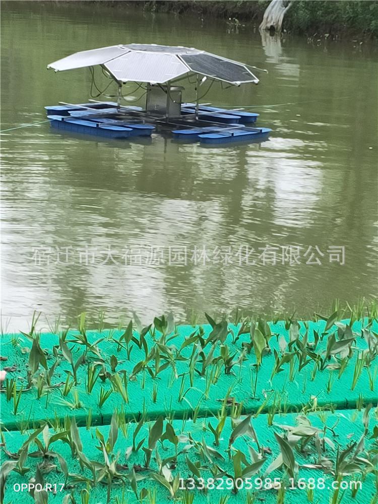 微信图片_20200601224044