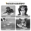 Cerca para animais de estimação Isolamento para cães Combinação livre Interior Canil para cães pequenos com área sanitária Cerca doméstica Gaiola para cães