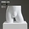 Soporte de Exhibición para Maniquí de Ropa Interior Maniquí de Medio Cuerpo Masculino Femenino Soporte para Maniquí de Sujetador Push Up Calzones Maniquí Accesorios para Fotografía Modelo de Pecho