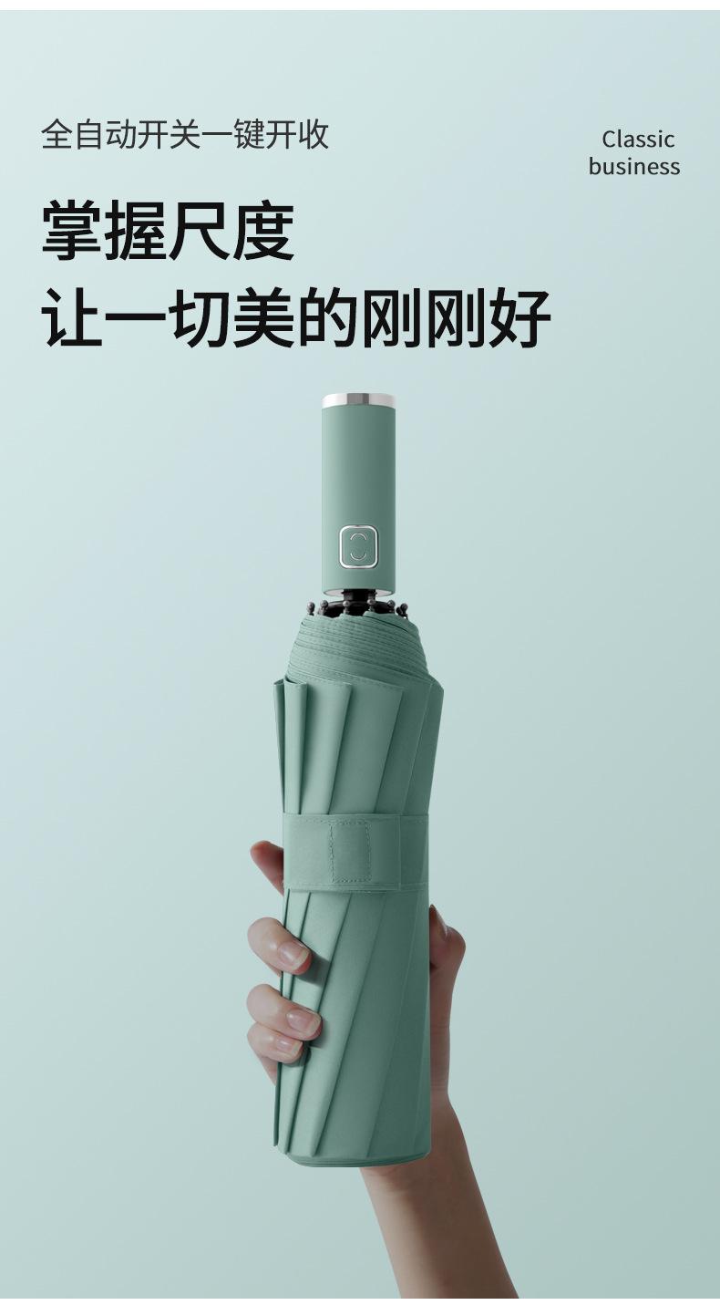 12骨男士配色手柄伞_10