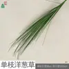 Feixe artificial barba longa capim-cana capim-rabo-de-cachorro planta verde bonsai Decoração Decoração de engenharia buquê de capim-cebola ins