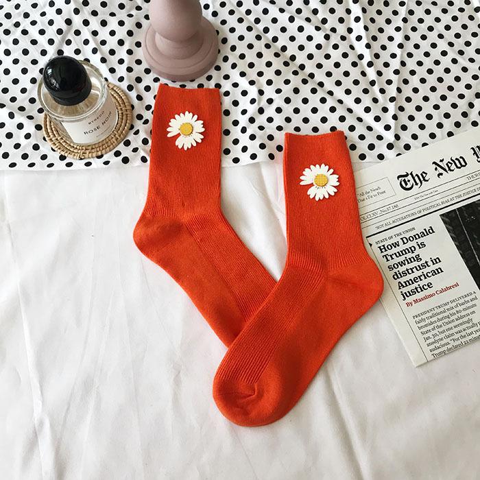 IMG_5389(20191229-232030)