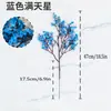 Gipsófila de 5 Ramas Bodas Flores Artificiales, Flores de Cera, Flores Falsas, Flores de Seda, Decoración del Hogar, Arreglos Florales, Flores Artificiales Transfronterizas