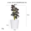 Más de 100 Tipos de Flores Artificiales y Plantas Verdes, Combinaciones de Plantas Artificiales en Maceta de Plástico, Flores Artificiales de Venta Caliente Transfronteriza, Mini Bonsáis Artificiales, Fuentes de Suministro