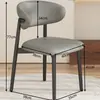Cadeira de Jantar de Ferro Simples Moderna de Luxo Leve Estilo Italiano Cadeira de Jantar para Casa Restaurante Cadeira com Encosto de Designer Estilo Nórdico High-End