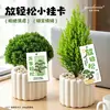 No te preocupes, relájate. Etiquetas colgantes de forma única para plantas verdes de oficina en interiores, decoraciones de pino en maceta, tarjetas colgantes, etiquetas pequeñas de plátano