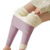 Pantalones de Algodón Grueso con Forro de Felpa para Mujer Otoño/Invierno, Uso Interior/Exterior de Lana de Cordero, Cintura Alta, Alta Elasticidad, Pantalones Cálidos, Pantalones de Otoño