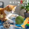 Juguetes para Gatos Palo Divertido para Gatos Catnip Polygonum Knockwood Fruta de Agalla de Insecto Auto-Hei-Hei-Hei Explosiones Popular Rascador para Gatos Suministros Resistentes a Mordidas
