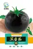 Semillas de Verduras al por Mayor para Todas las Estaciones: Frijoles, Chiles, Calabazas, Semillas de Jade Amarillo, Plántulas y una Gama Completa de Semillas de Frutas y Verduras, Incluyendo Semillas de Pepino
