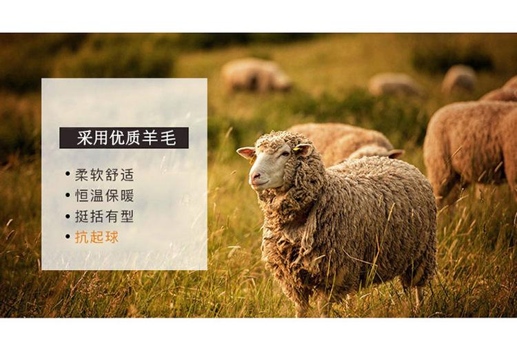 纯色19806_05.jpg