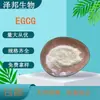 Extracto de Té Verde EGCG al 98% Galato de Epigalocatequina en Stock con Envío Gratis 100G/Bolsa