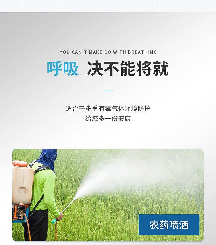 地球2596-1款防毒口罩