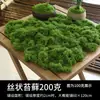 Simulación musgo césped biónico artificial falso musgo micro paisaje diseño adornos césped bonsái en maceta pavimentación paisajismo