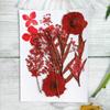 Material de Embalagem para Flor Seca Transfronteiriça Flor para Marca-páginas diy Flor Seca com Cola Gota Capa de Celular com Flor Seca Embotada Espécime de Planta Embotado