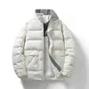Jaqueta de Penas de Pato Brancas Nova para Homens Inverno 2024, Gola Alta, Estilo Coreano, Design Curto Tendência, Estilosa e Versátil
