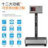 Balanza Digital de Plataforma Quanhengyu 200-300 kg Pesaje Alta Precisión Almacén Venta de Verduras Supermercado Logística Balanza Digital Especial