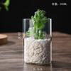 Vaso de vidro borosilicato transfronteiriço garrafa hidropônica cilíndrica reta ornamentos decorativos garrafa em vaso em estoque atacado