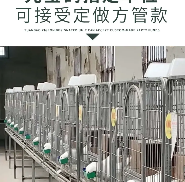 鸽子笼详情页_05