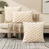 Funda de almohada de felpa nueva transfronteriza, color sólido, terciopelo texturizado, funda de almohada de sofá tridimensional, adecuada para habitaciones modelo y decoración de dormitorio