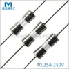 Fusível de vidro com tampas duplas 3,6*10mm de ação lenta T0,25A/250V com tubo de vidro de chumbo fusível 3*10