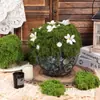Musgo Seda Lana Musgo Bonsái Pavimento Planta Verde Decoración Filamentoso Musgo Falso Bricolaje Musgo Verde Artificial