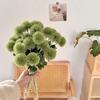 6 Dientes de León Escritos a Mano Bola de Pelo de Plástico Flor de Simulación de Cebolla Flor Falsa Decoración para el Hogar Fotografía de Boda Ramo de Flores para Sostener