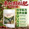 Fertilizante para Árbol de Azufaifo Fertilizante Especial Fertilizante Compuesto Orgánico Planta de Interior en Maceta Azufaifo de Invierno Azufaifo Rojo Fertilizante Nutritivo Gránulos de Liberación Lenta Envío Gratis