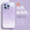[Nuevo Estilo de Verano] Adecuado para Funda de Teléfono Móvil Iphone16 Apple 15Promax 16Pro Vidrio Elegante 14Pm